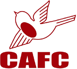 AFC溫布頓U23